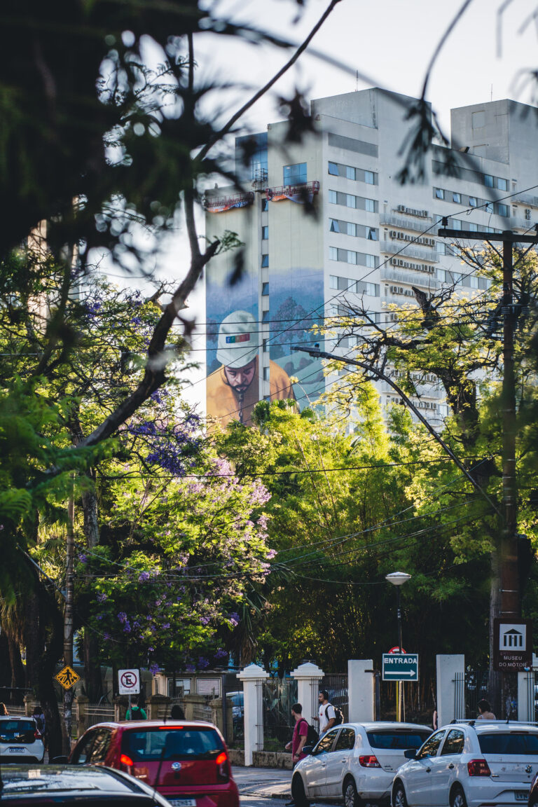 APOLO-TORRES-mural_5